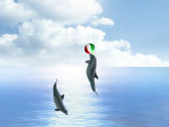 Dolphin Dreams Screensaver screenshot